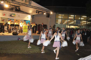 Zpravodaj venkova 8-2010[2]_pdf - Adobe Reader(1)