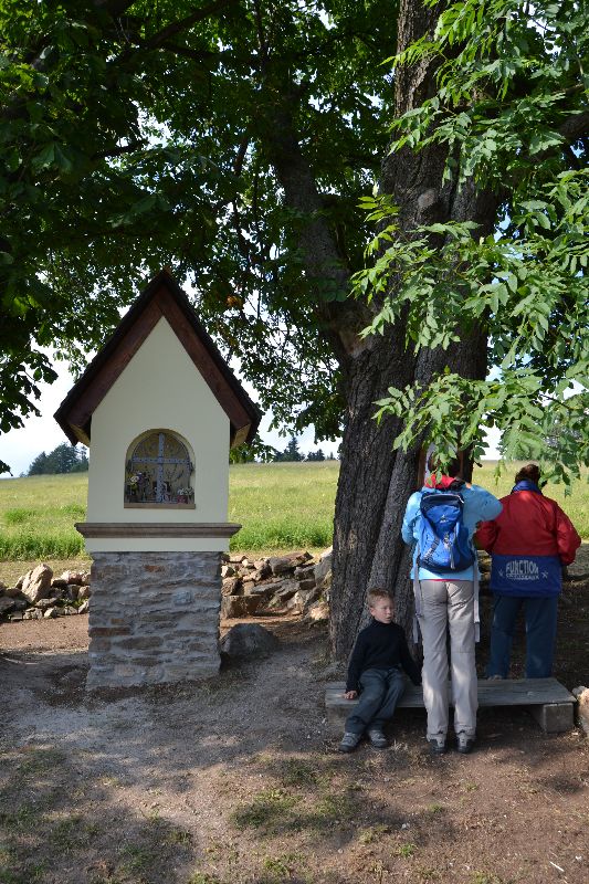 Galerie: Pouť lidí dobré vůle - 22. 6. 2014