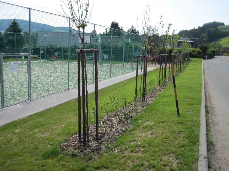 Galerie: Revitalizace veřejného prostranství obce Nový Malín