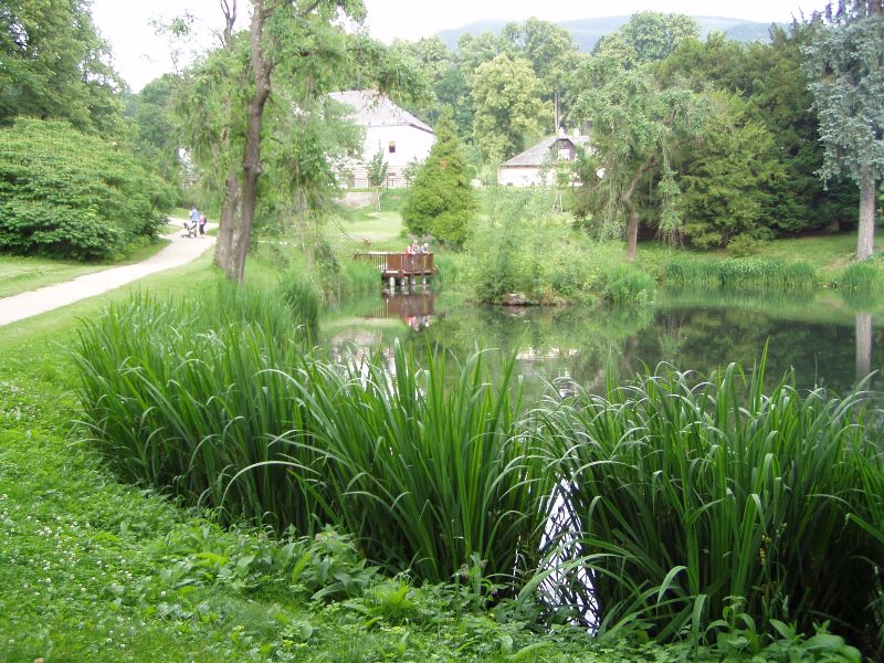 Galerie: Molo u zámeckého rybníka v Loučné nad Desnou