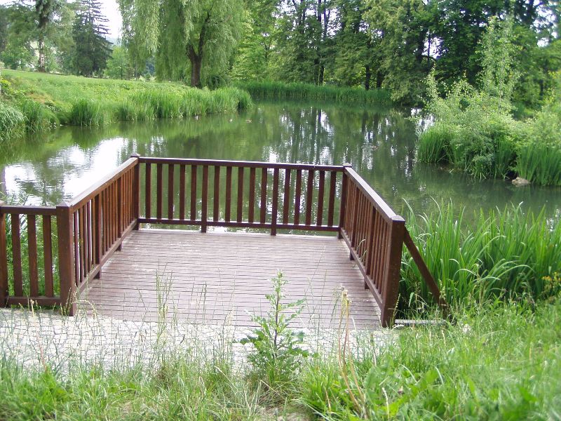 Galerie: Molo u zámeckého rybníka v Loučné nad Desnou