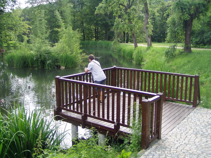 Galerie: Molo u zámeckého rybníka v Loučné nad Desnou