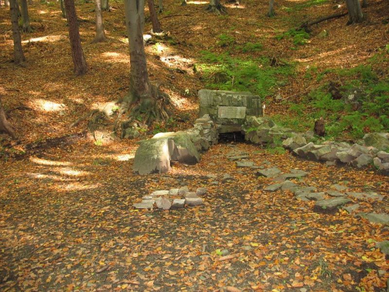 Galerie: Petrovské studánky