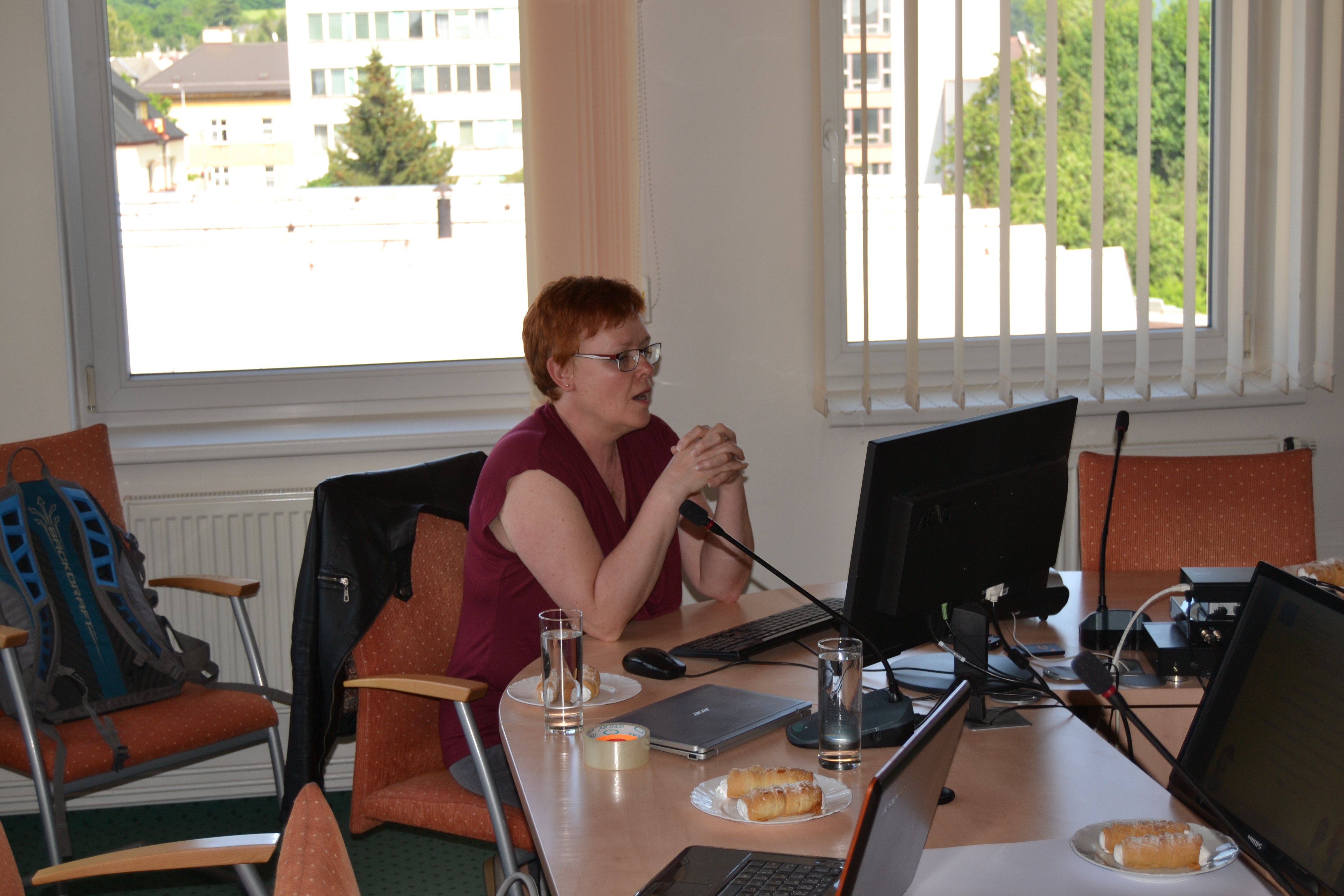 Galerie: MAP: Řídící výbor 23. 5. 2016 Šumperk